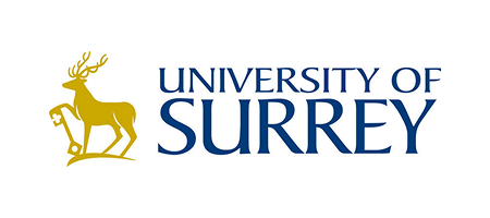 University Of Surrey Loog